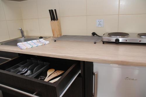 a kitchen with a counter top with a drawer at Willa Gościnny Próg in Krościenko