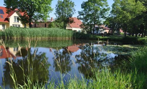 Ferienhaus Stolpe USE 2481