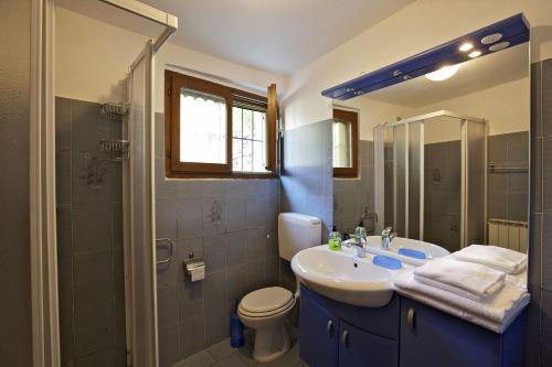 un bagno con lavandino e WC di Rustico La Vigna a Cannero Riviera