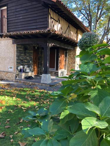 a house with a front porch with a dog in the yard at Casitas Del Huerto in La Alberca