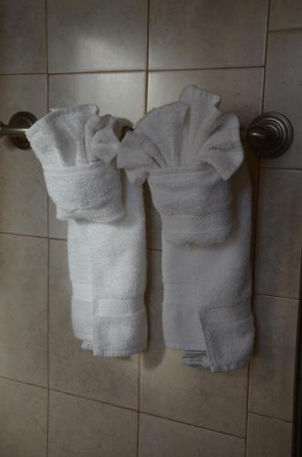 a group of white towels on a shower at La Terrace Oceanfront in Hollywood
