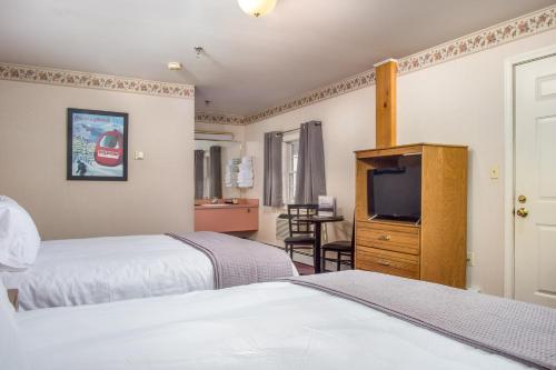 a hotel room with a bed and a television at Mountain Village Lodge in Bethel