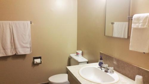 Viking Lamplighter Motel – Photos 3