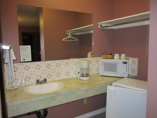 a bathroom counter with a sink and a microwave at Viking Lamplighter Motel in Viking