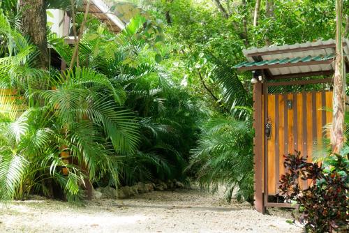 an orange gate in a forest of palm trees at Green Sanctuary Hotel in Nosara