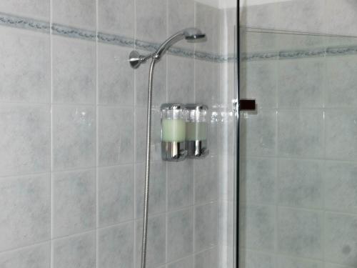 アルゲーロにあるB&B Apartment Lluciaのシャワーヘッド付きのガラスドアが備わるシャワールームです。