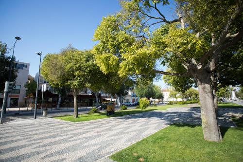 a tree on the side of a street at Hotel Solaris in Setúbal