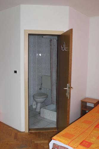 a bathroom with a toilet and a shower at Youth Hostel Nika in Kranjska Gora