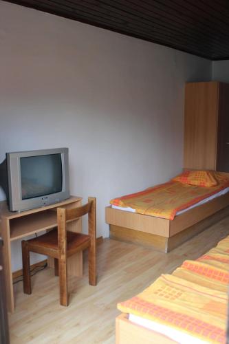 a living room with two beds and a tv at Youth Hostel Nika in Kranjska Gora