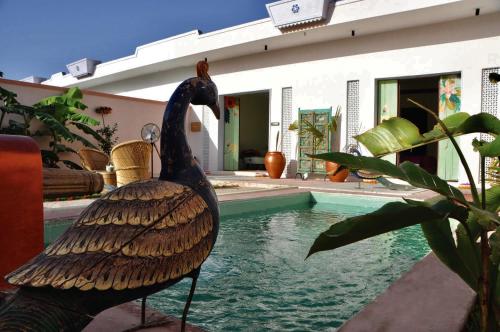Parijat Private Pool Villa 1, 2 and 3 BHK في أودايبور: تمثال طاووس واقف بجانب مسبح