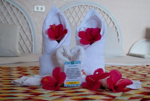 Voodi või voodid majutusasutuse Quo Vadis Dive Resort toas