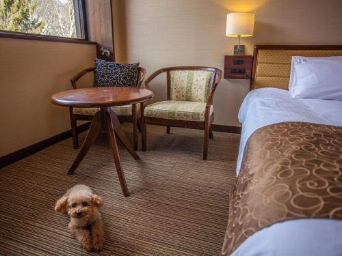 a small dog is sitting in a hotel room at Izumigo Takayama Dog Paradise Hotel in Takayama