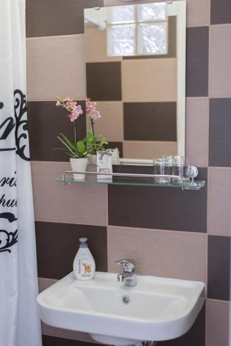 a bathroom with a sink and a mirror at Nefelejcs Vendégház in Tóalmás