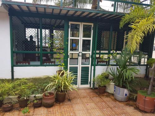 a house with a green and white door and plants at Jojies Homestay Fortkochi in Cochin