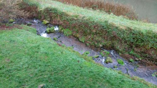 an aerial view of a stream in a grassy field at Hotel-Restaurant Jägerhof in Unterreichenbach