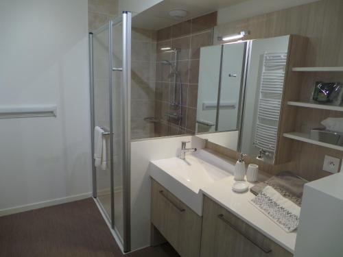 een badkamer met een wastafel en een douche met een spiegel bij Domitys La Fontaine du Roy in Vichy