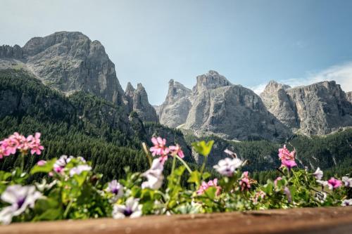 a field of flowers with mountains in the background at Residence Mirabell in Colfosco