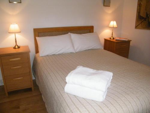 a bedroom with a bed with two night stands and two lamps at Higher Greenway Annexe in Brixham