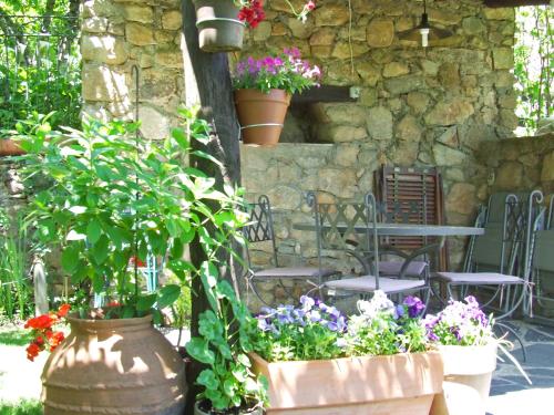 a patio with pots of flowers and a table and chairs at Casas rurales Caño Chico y La Fuente in Villanueva del Conde