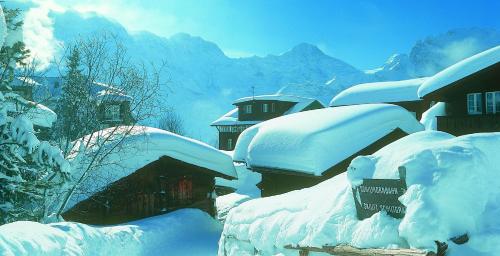 a group of houses covered in snow with mountains in the background at Hotel Blumental in Mürren