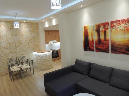 Il comprend un salon avec un canapé et une cuisine. dans l'établissement Apartment near Acropolis, à Athènes