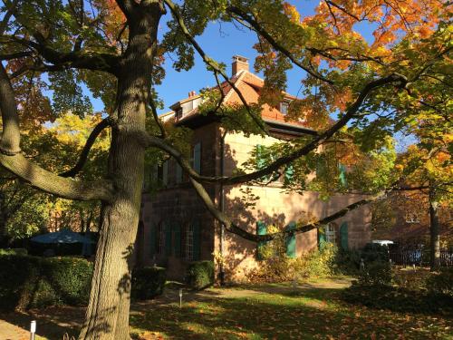 an old house with a tree in front of it at Forsthaus zu Lichtenhof in Nürnberg