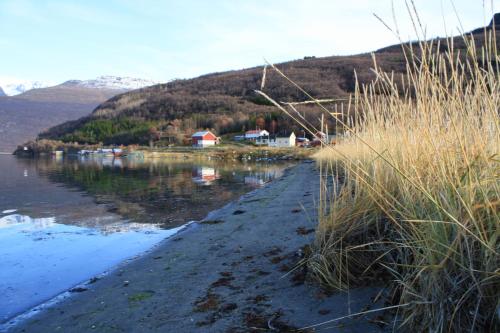 a body of water with at Løkvollstranda camping As in Samuelsberg