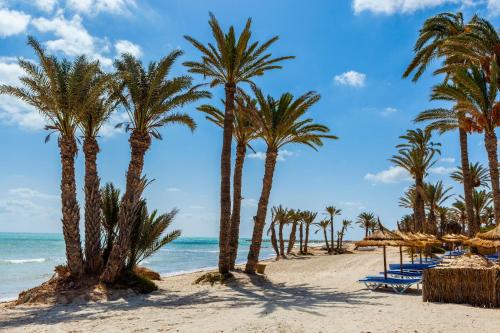 a group of palm trees on the beach at Hari Club Beach Resort in Aghīr