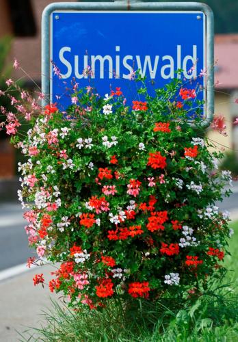 a sign with red and white flowers in a bush at BnB SchlafSchloss in Sumiswald