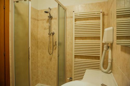 a bathroom with a shower and a toilet at Albergo Ristoro Sitten in Gressoney-la-Trinité