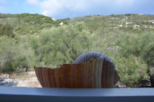 a close up of a bowl of food at Villa Clementine in Gaios