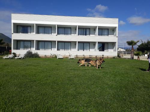 Gallery image of Hotel Del Valle Quilimari in Pichidangui