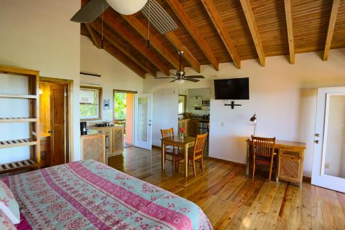 TV a/nebo společenská místnost v ubytování Hotel Posada Seremein ,West Bay ,Roatan