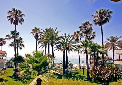 Apartamentos Playa Torrecilla