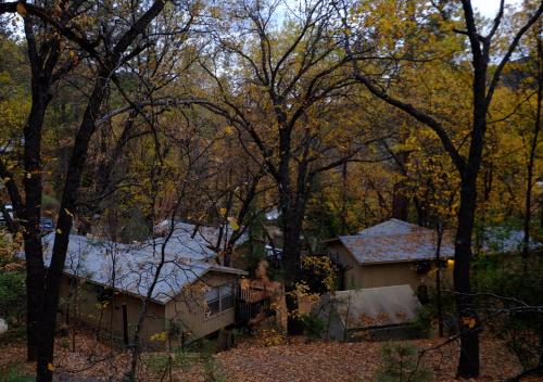 a house in the woods with snow on the roof at Yosemite Bug Rustic Mountain Resort in Midpines