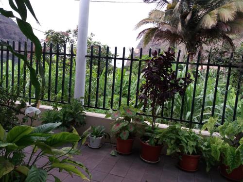Сад в Ribeira Grande Country House