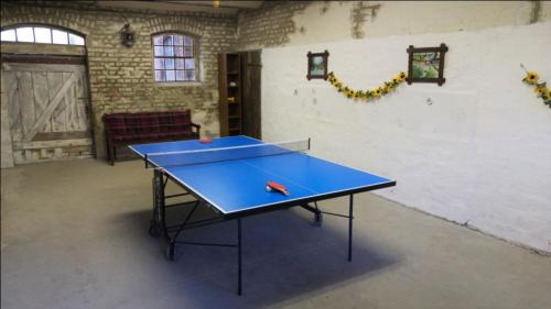a ping pong table with two tennis balls on it at FeWo Albrecht in Metschow in Borrentin