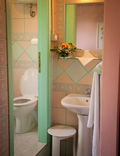a bathroom with a toilet and a sink at Agriturismo Menhir in Villagrande Strisaili