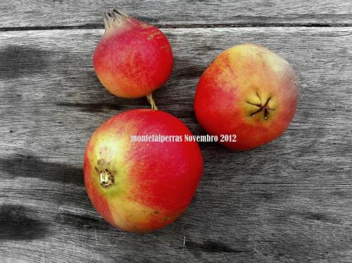 three apples sitting on a wooden table at Monte Falperras in Mourão