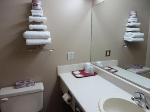 a bathroom with a sink and a toilet and a mirror at Venture Inn Hotel in Saskatoon