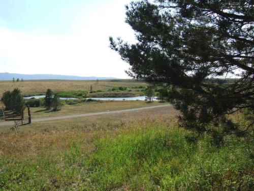 a road in the middle of a field with a tree at Eagle Ridge Ranch in Island Park