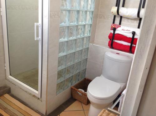 Salle de bains dans l'établissement Tamarin Seaside Apartment