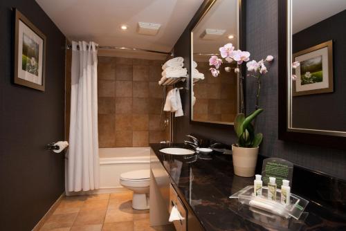a bathroom with a sink and a toilet and a tub at Holiday Inn & Suites Mississauga West - Meadowvale by IHG in Mississauga