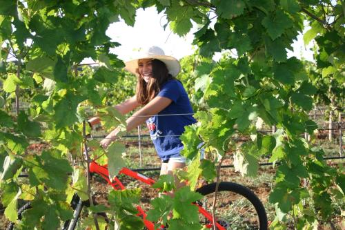 Hosté ubytování Agriturismo Vigna Corallo