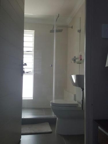 a bathroom with a shower and a toilet and a sink at Villa Vue in Kleinbaai