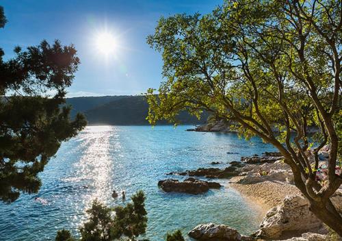 a view of a body of water with a tree at Valamar Sanfior Hotel & Casa in Rabac