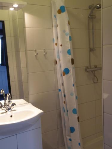 a bathroom with a shower and a sink at B & B Eindelinge in Serooskerke