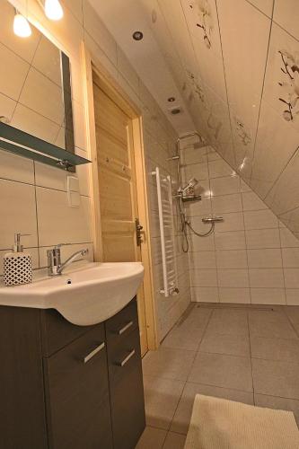 a bathroom with a sink and a shower at Noclegi Brzegi in Brzegi