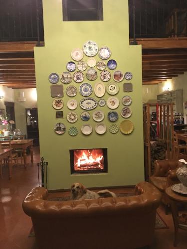 a dog sitting on a couch in front of a wall with plates at Agriturismo Cascina Maiocca in Mediglia