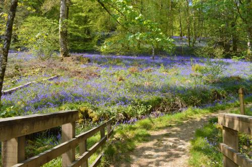 Glenbranter Cottage – Photos 2